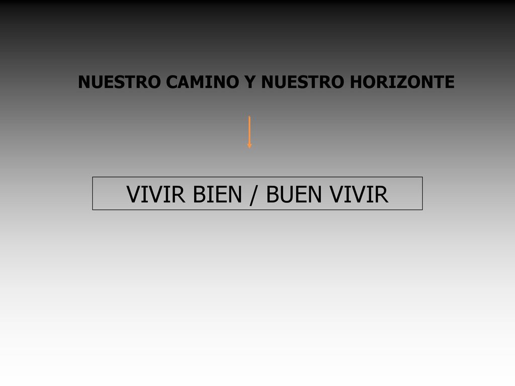 77 NUESTRO CAMINO Y NUESTRO HORIZONTE VIVIR BIEN / BUEN VIVIR