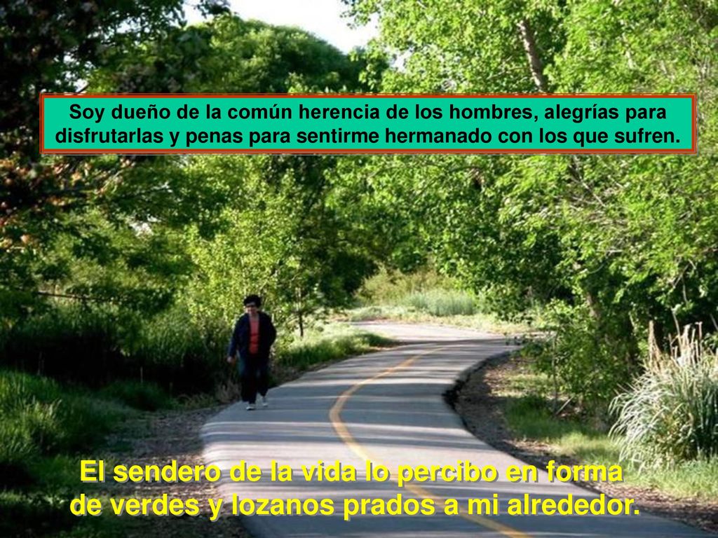 El sendero de la vida lo percibo en forma