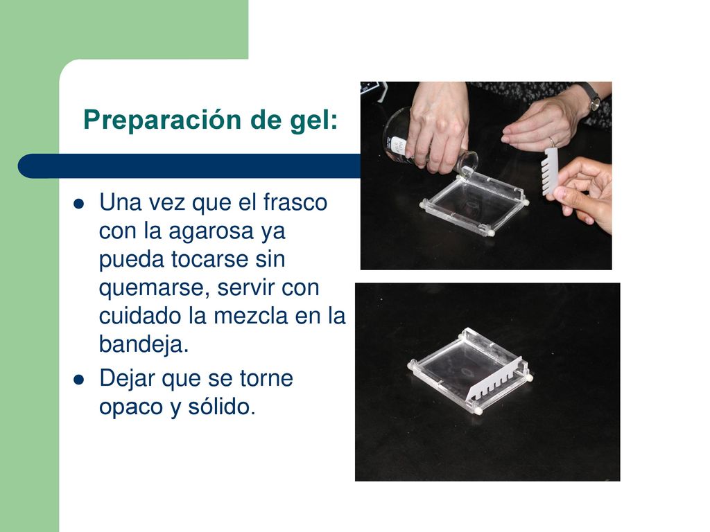 Preparación de gel: Una vez que el frasco con la agarosa ya pueda tocarse sin quemarse, servir con cuidado la mezcla en la bandeja.