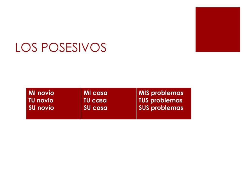 LOS POSESIVOS MI novio TU novio SU novio MI casa TU casa SU casa