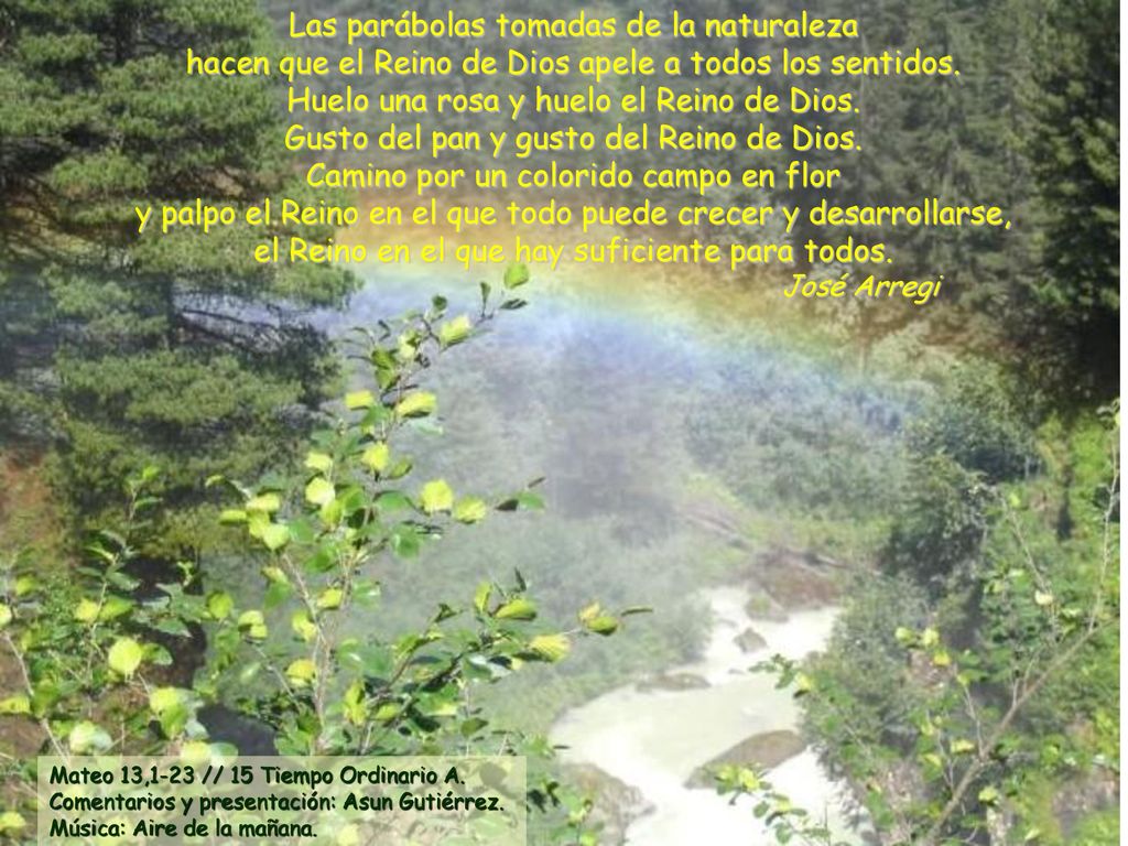 Las parábolas tomadas de la naturaleza hacen que el Reino de Dios apele a todos los sentidos.