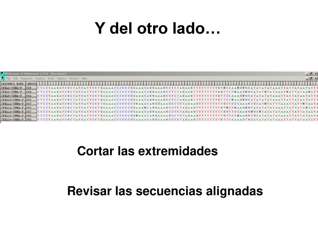 Y del otro lado… Cortar las extremidades