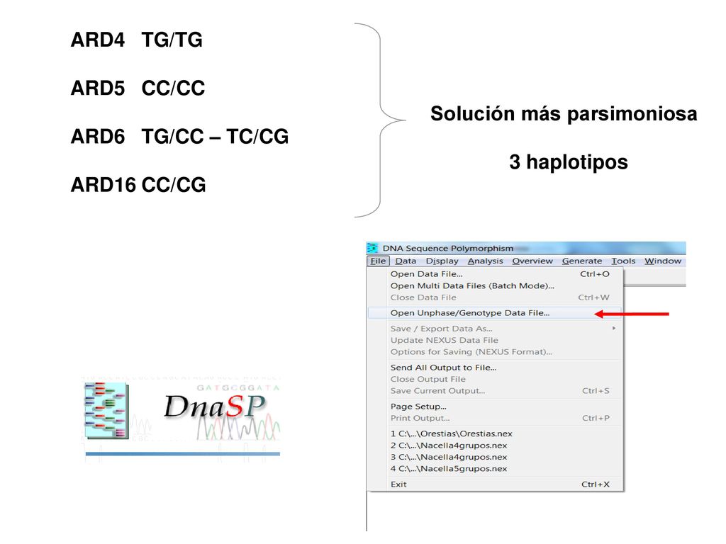 ARD4 TG/TG ARD5 CC/CC ARD6 TG/CC – TC/CG ARD16 CC/CG Solución más parsimoniosa 3 haplotipos