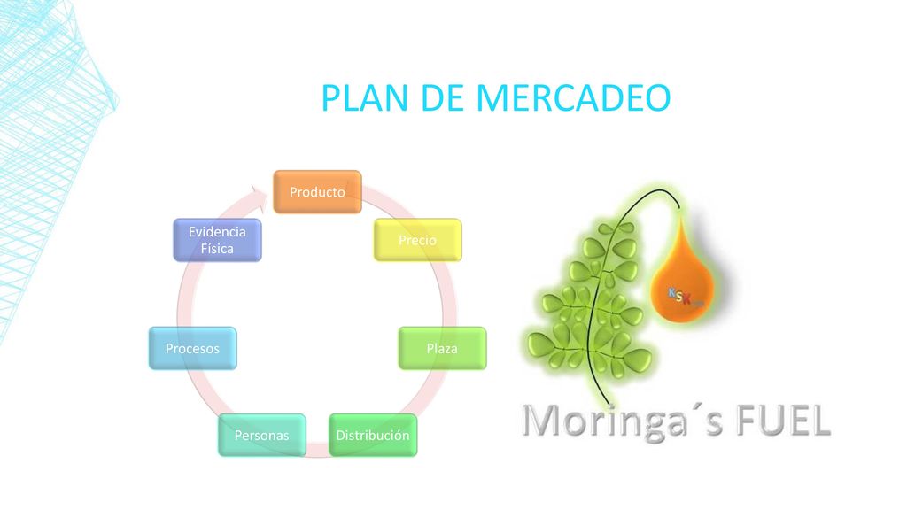 Plan de mercadeo Producto Precio Plaza Distribución Personas Procesos