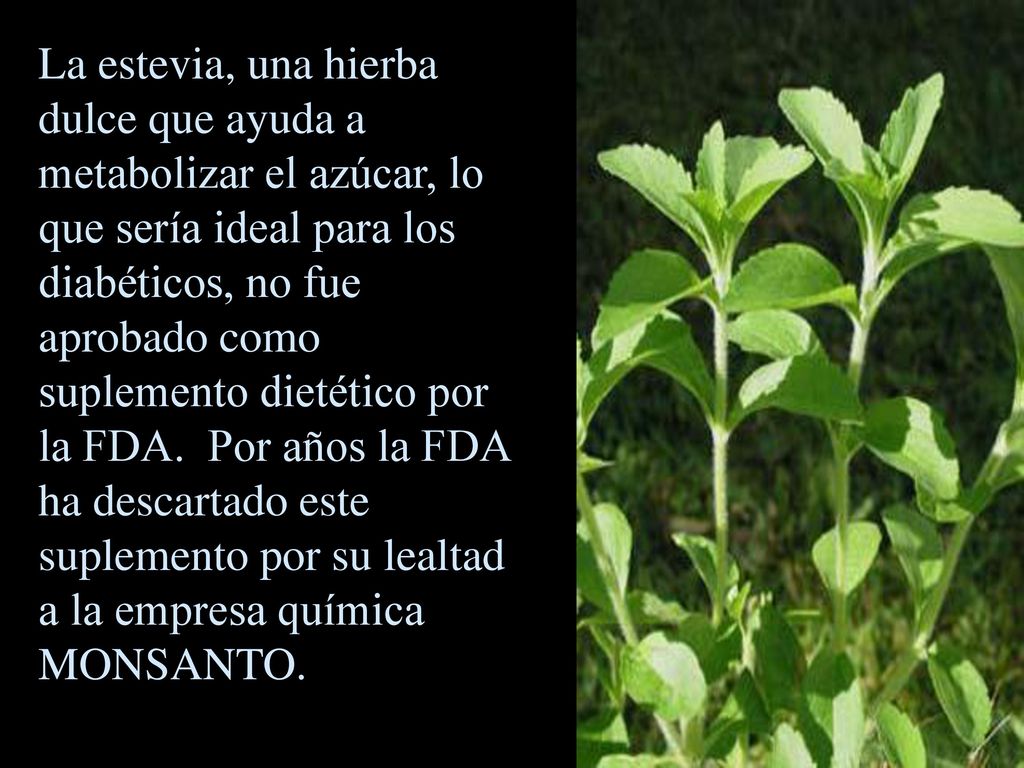 La estevia, una hierba dulce que ayuda a metabolizar el azúcar, lo que sería ideal para los diabéticos, no fue aprobado como suplemento dietético por la FDA.