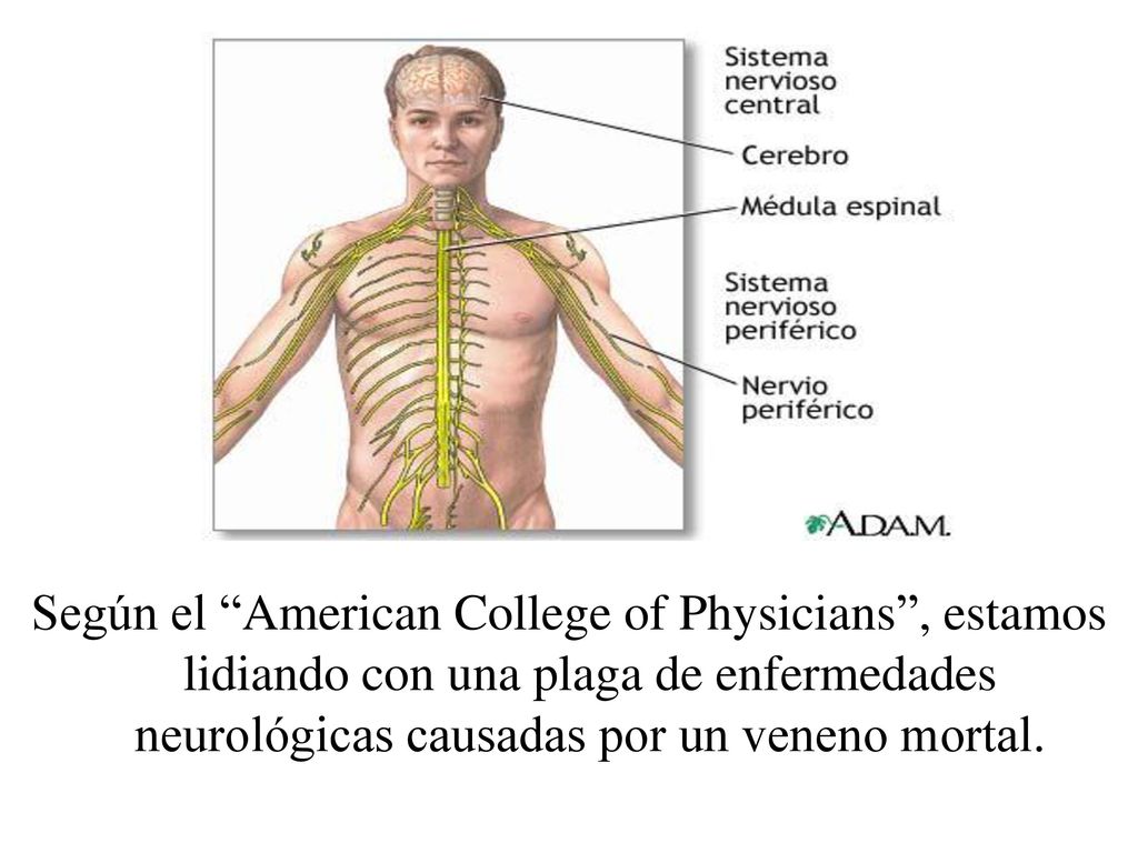 Según el American College of Physicians , estamos lidiando con una plaga de enfermedades neurológicas causadas por un veneno mortal.