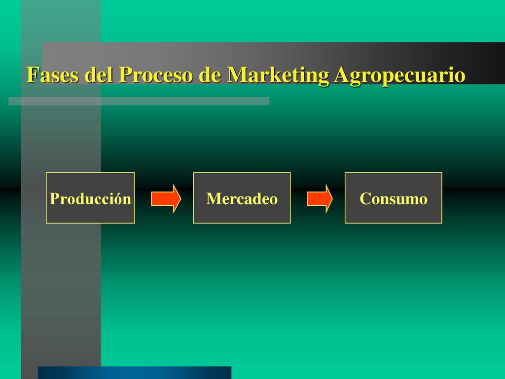 Fases del Proceso de Marketing Agropecuario