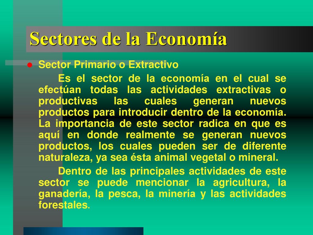 Sectores de la Economía