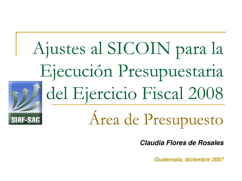 Ajustes al SICOIN para la Ejecución Presupuestaria del Ejercicio Fiscal 2008