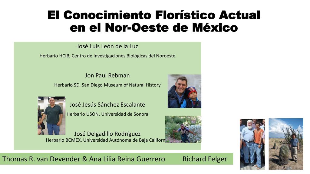 El Conocimiento Florístico Actual en el Nor-Oeste de México