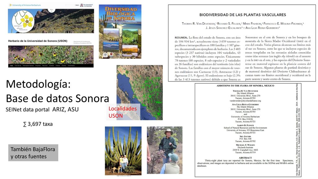 Metodología: Base de datos Sonora SEINet data portal ARIZ, ASU