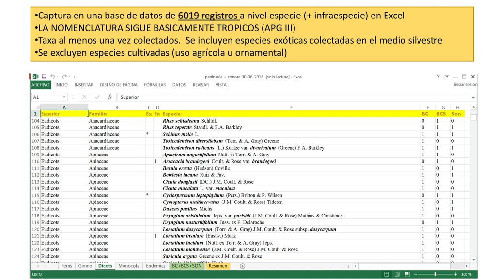 Captura en una base de datos de 6019 registros a nivel especie (+ infraespecie) en Excel