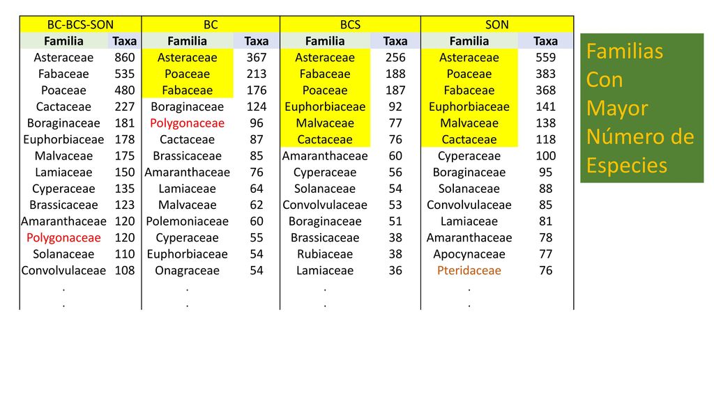 Familias Con Mayor Número de Especies BC-BCS-SON BC BCS SON Familia