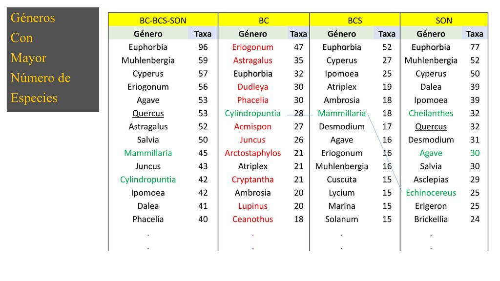 Géneros Con Mayor Número de Especies BC-BCS-SON BC BCS SON Género Taxa