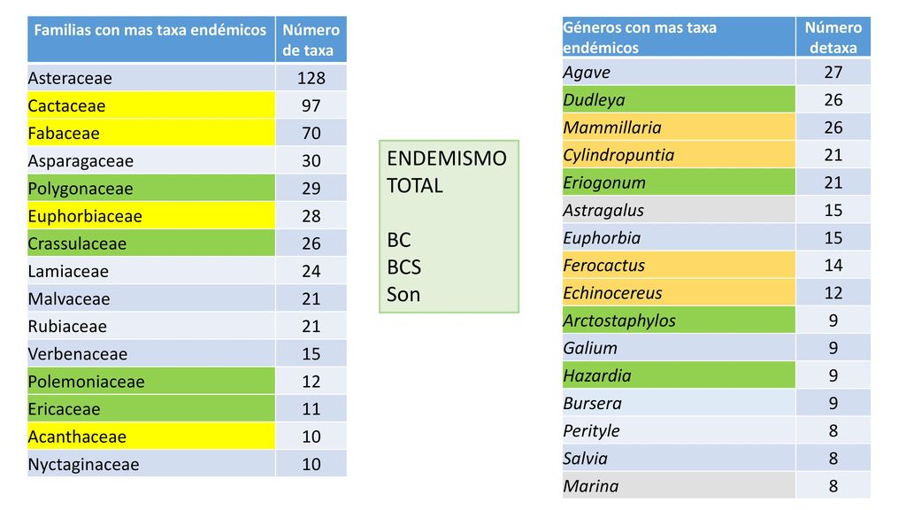 ENDEMISMO TOTAL BC BCS Son Asteraceae 128 Cactaceae 97 Fabaceae 70