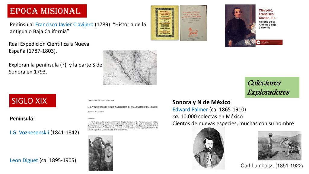 Epoca Misional SIGLO XIX Colectores Exploradores Sonora y N de México