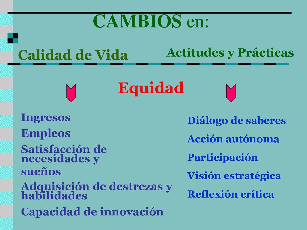 CAMBIOS en: Equidad Calidad de Vida Actitudes y Prácticas Ingresos