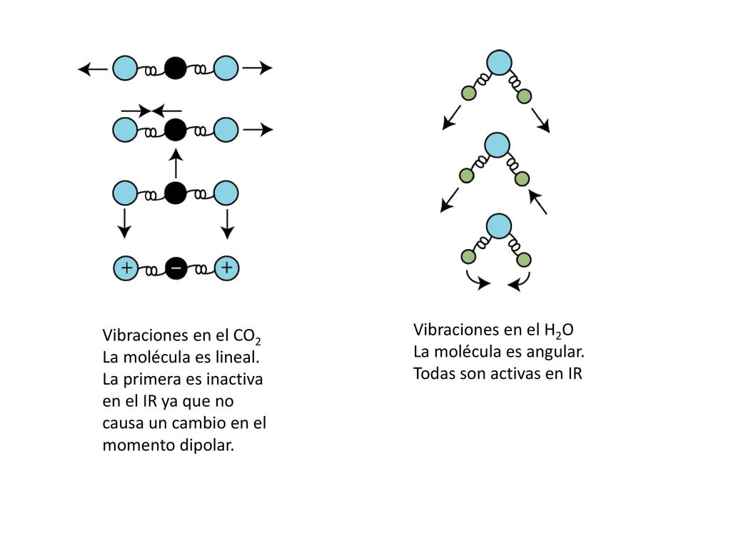 Vibraciones en el H2O La molécula es angular. Todas son activas en IR. Vibraciones en el CO2. La molécula es lineal.