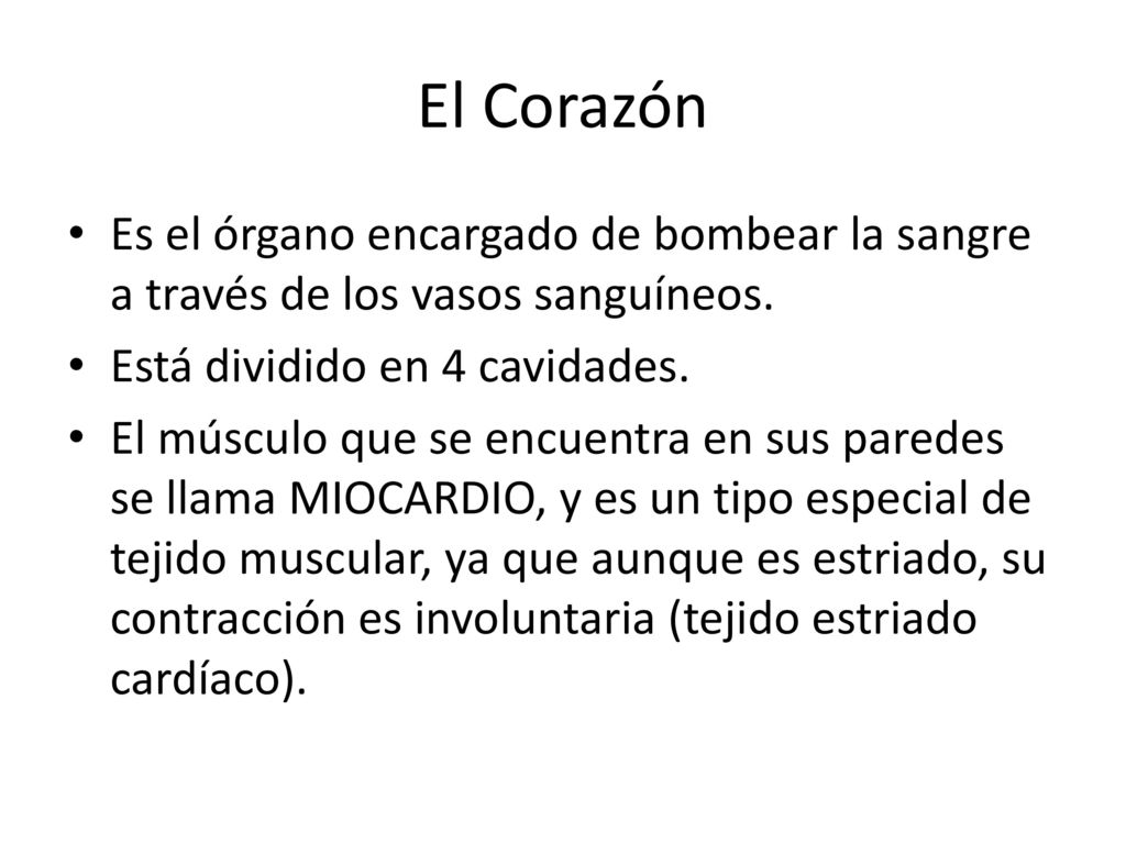 El Corazón Es el órgano encargado de bombear la sangre a través de los vasos sanguíneos. Está dividido en 4 cavidades.