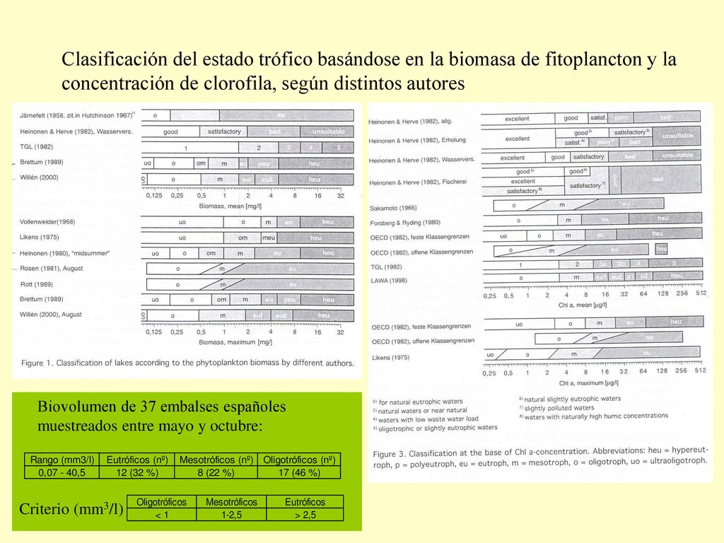 Clasificación del estado trófico basándose en la biomasa de fitoplancton y la concentración de clorofila, según distintos autores
