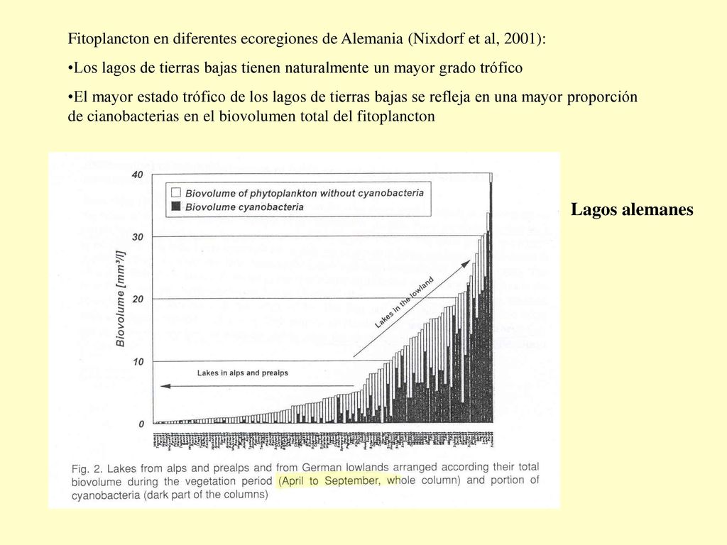 Fitoplancton en diferentes ecoregiones de Alemania (Nixdorf et al, 2001):