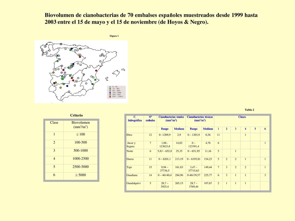 Biovolumen de cianobacterias de 70 embalses españoles muestreados desde 1999 hasta 2003 entre el 15 de mayo y el 15 de noviembre (de Hoyos & Negro).