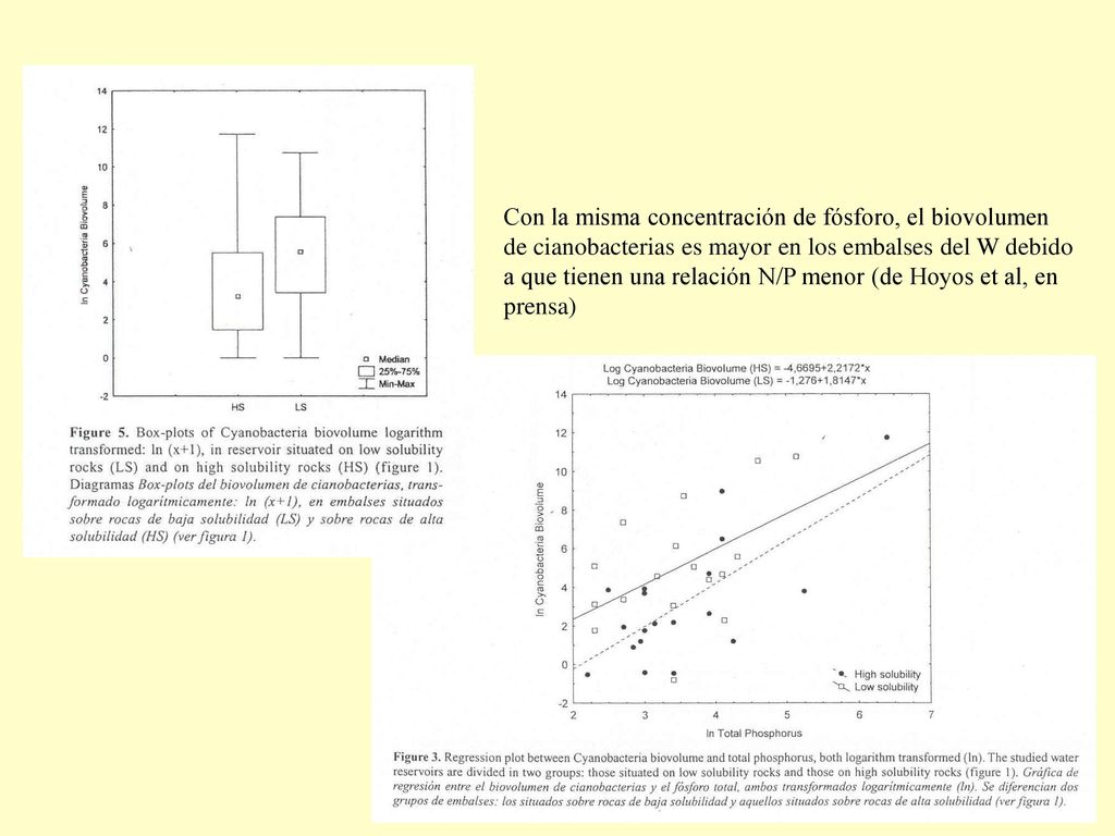 Con la misma concentración de fósforo, el biovolumen de cianobacterias es mayor en los embalses del W debido a que tienen una relación N/P menor (de Hoyos et al, en prensa)