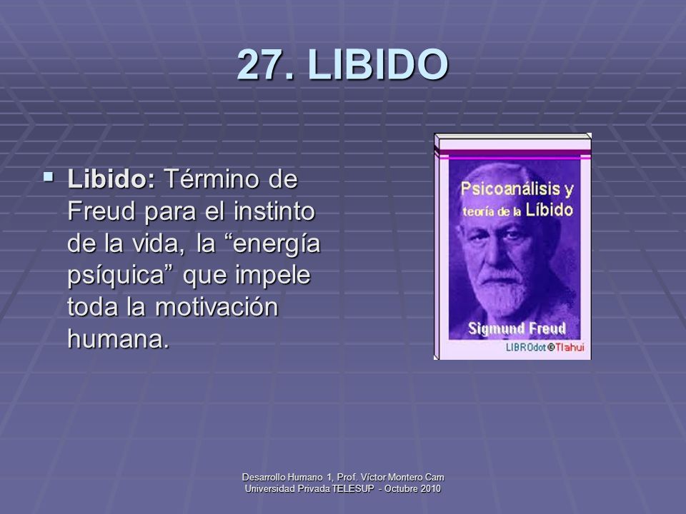 27. LIBIDO Libido: Término de Freud para el instinto de la vida, la energía psíquica que impele toda la motivación humana.