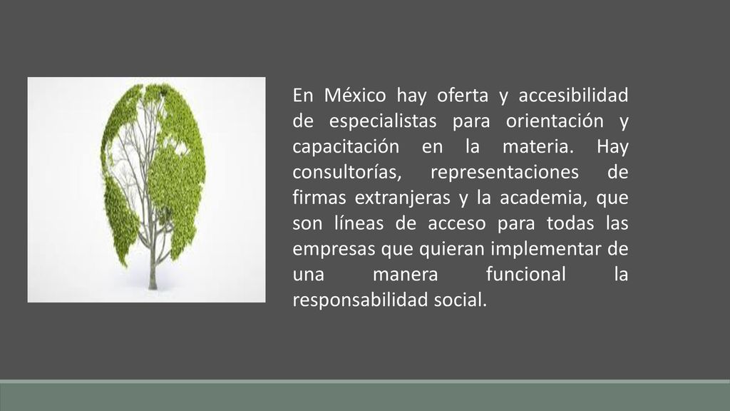 En México hay oferta y accesibilidad de especialistas para orientación y capacitación en la materia.