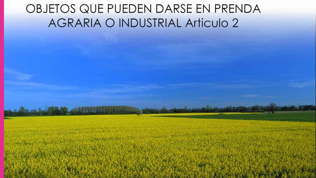 OBJETOS QUE PUEDEN DARSE EN PRENDA AGRARIA O INDUSTRIAL Articulo 2