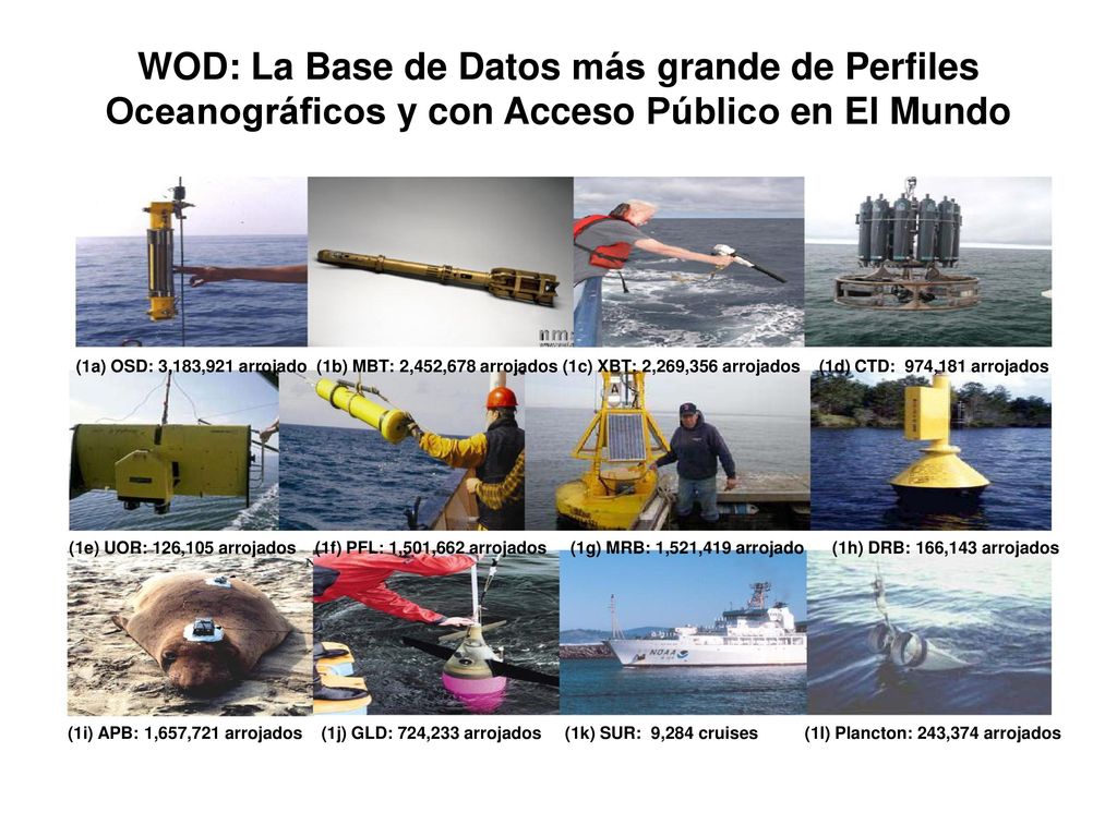 WOD: La Base de Datos más grande de Perfiles Oceanográficos y con Acceso Público en El Mundo