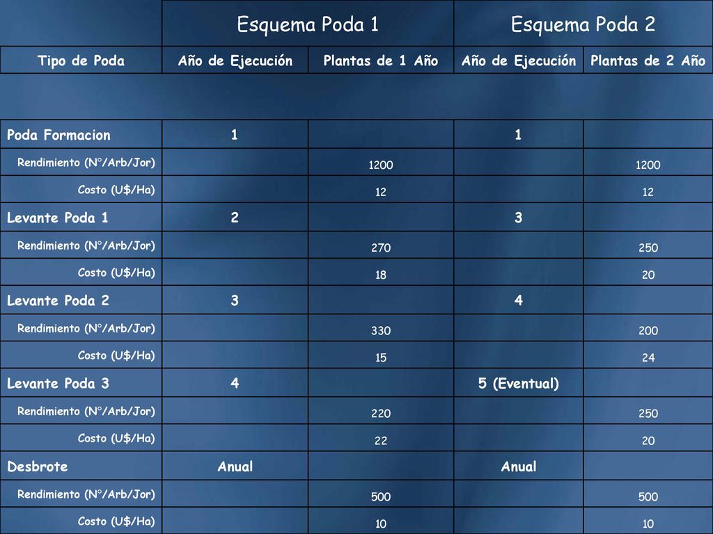 Esquema Poda 1 Esquema Poda 2 Tipo de Poda Año de Ejecución