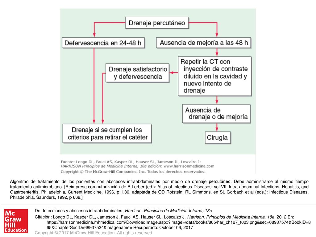 Algoritmo de tratamiento de los pacientes con abscesos intraabdominales por medio de drenaje percutáneo. Debe administrarse al mismo tiempo tratamiento antimicrobiano. [Reimpresa con autorización de B Lorber (ed.): Atlas of Infectious Diseases, vol VII: Intra-abdominal Infections, Hepatitis, and Gastroenteritis. Philadelphia, Current Medicine, 1996, p 1.30, adaptada de OD Rotstein, RL Simmons, en SL Gorbach et al (eds.): Infectious Diseases, Philadelphia, Saunders, 1992, p 668.]