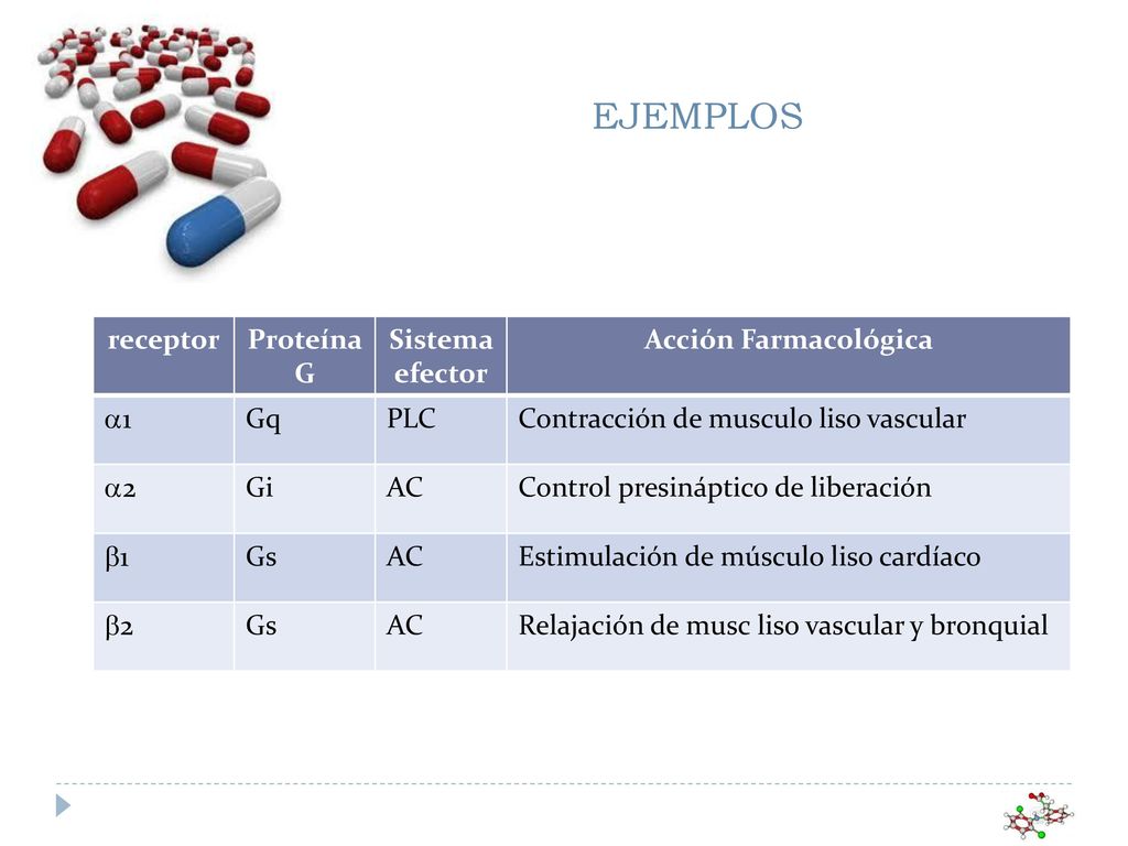 EJEMPLOS receptor Proteína G Sistema efector Acción Farmacológica a1