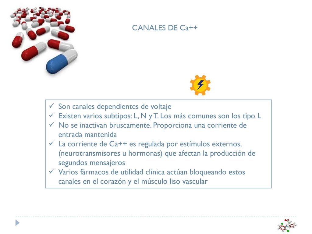 CANALES DE Ca++ Son canales dependientes de voltaje. Existen varios subtipos: L, N y T. Los más comunes son los tipo L.