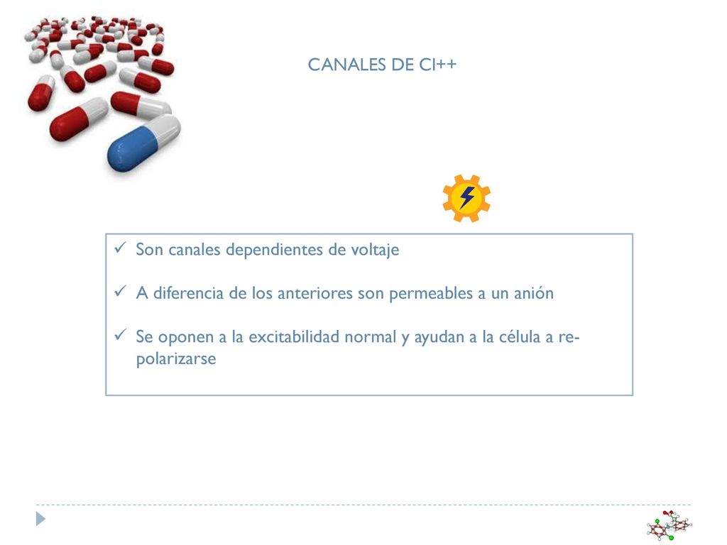 CANALES DE Cl++ Son canales dependientes de voltaje. A diferencia de los anteriores son permeables a un anión.