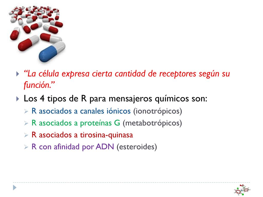 La célula expresa cierta cantidad de receptores según su función.