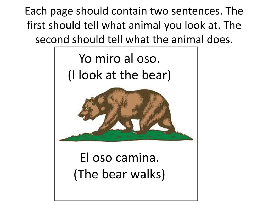 Yo miro al oso. (I look at the bear) El oso camina. (The bear walks)
