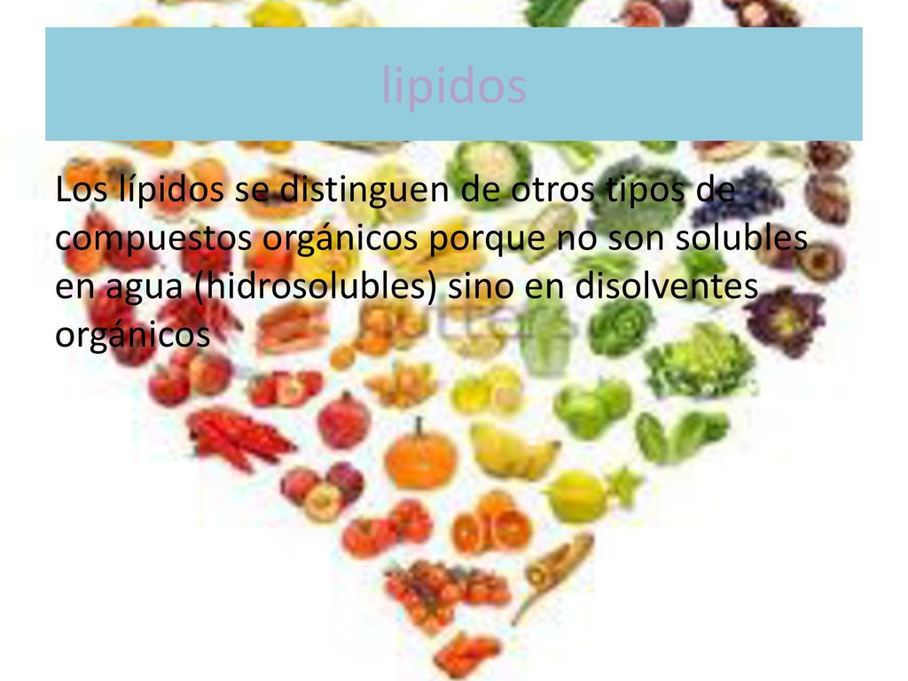 lipidos Los lípidos se distinguen de otros tipos de compuestos orgánicos porque no son solubles en agua (hidrosolubles) sino en disolventes orgánicos.