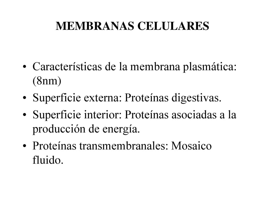 MEMBRANAS CELULARES Características de la membrana plasmática: (8nm) Superficie externa: Proteínas digestivas.