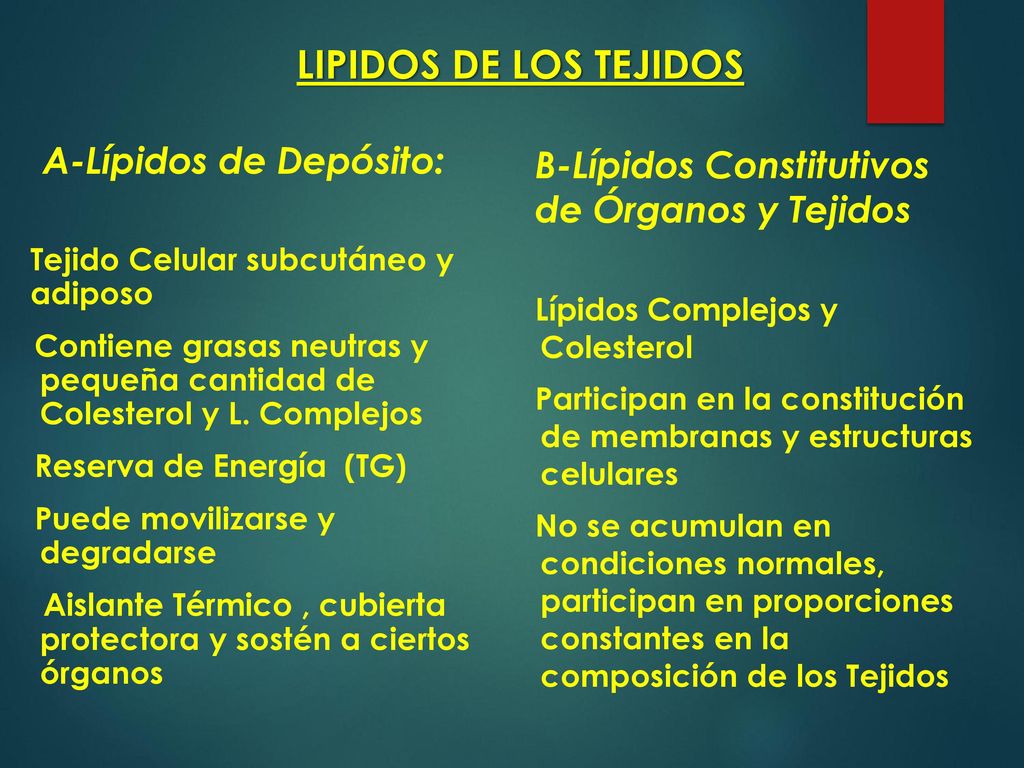 LIPIDOS DE LOS TEJIDOS B-Lípidos Constitutivos de Órganos y Tejidos
