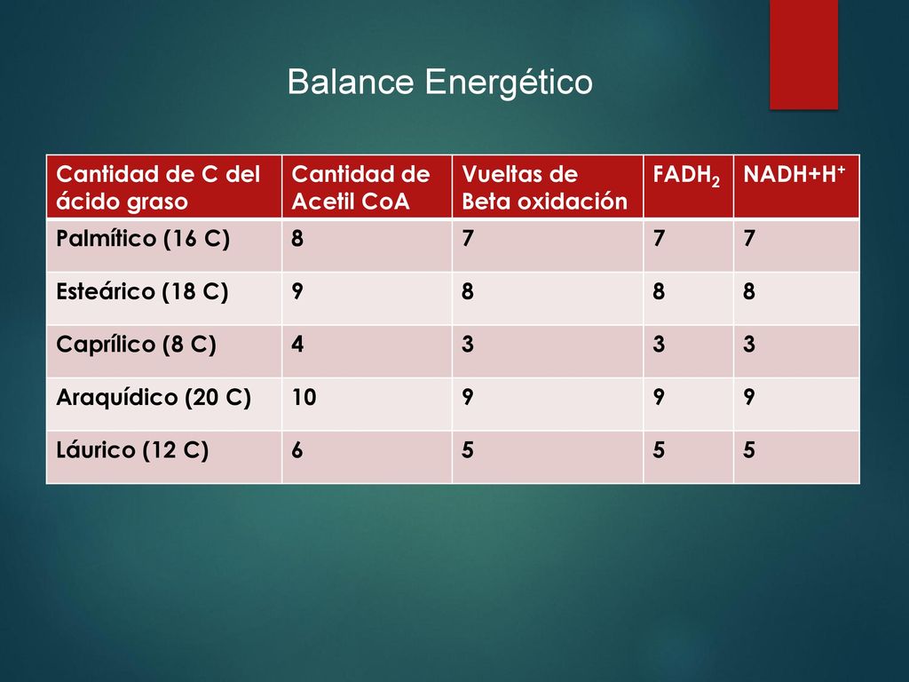 Balance Energético Cantidad de C del ácido graso Cantidad de