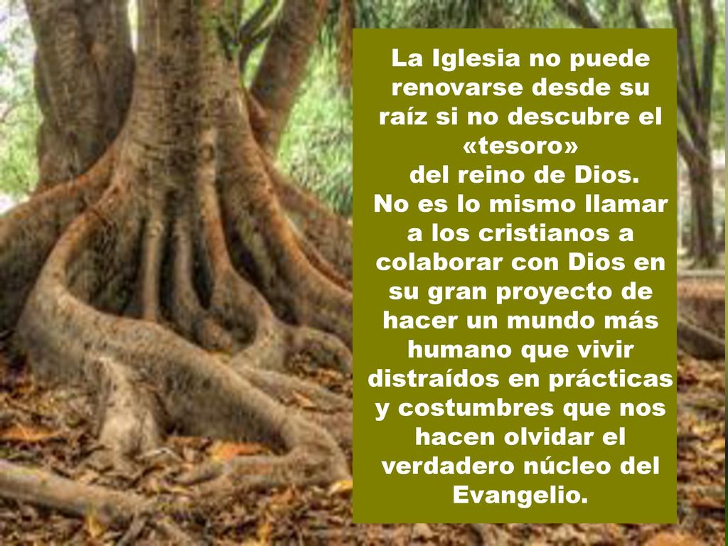 La Iglesia no puede renovarse desde su raíz si no descubre el «tesoro»