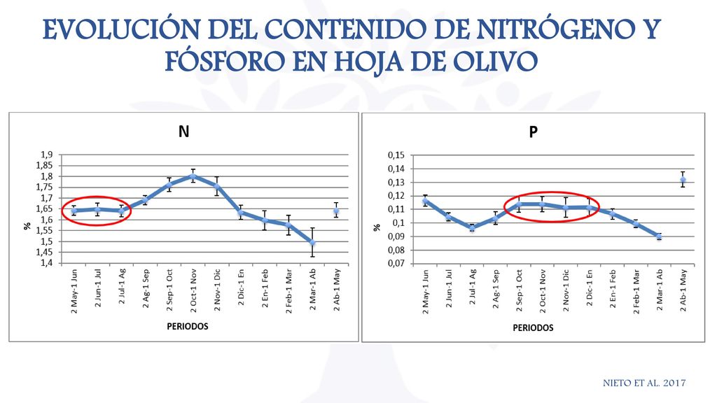 EVOLUCIÓN DEL CONTENIDO DE NITRÓGENO Y FÓSFORO EN HOJA DE OLIVO