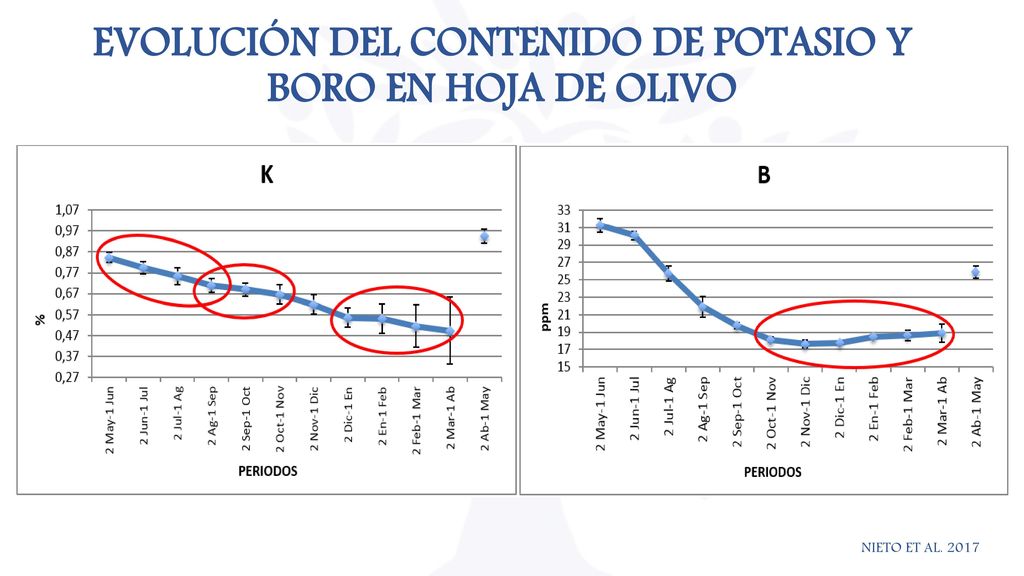 EVOLUCIÓN DEL CONTENIDO DE POTASIO Y BORO EN HOJA DE OLIVO