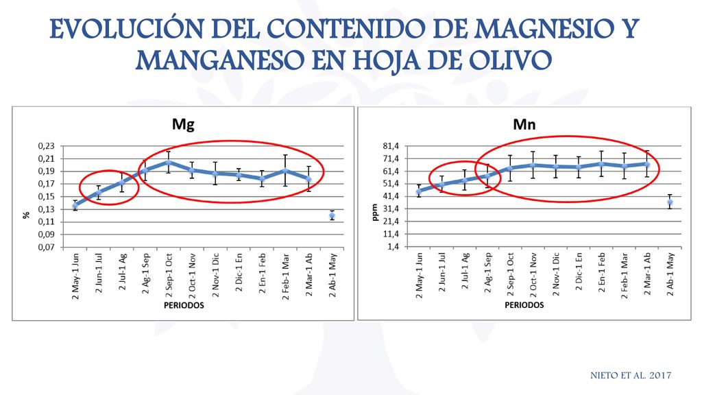 EVOLUCIÓN DEL CONTENIDO DE MAGNESIO Y MANGANESO EN HOJA DE OLIVO