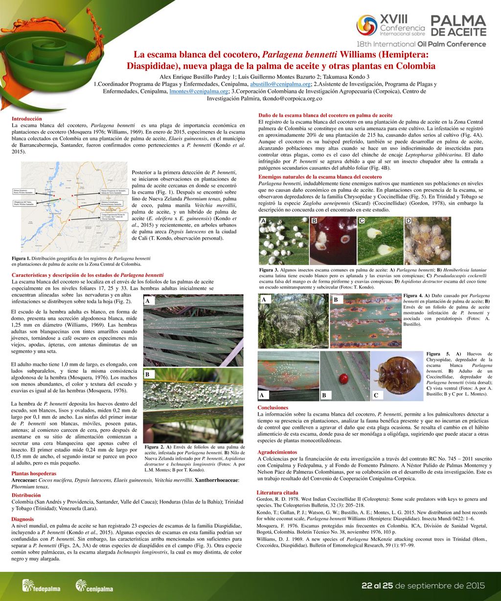 La escama blanca del cocotero, Parlagena bennetti Williams (Hemiptera: Diaspididae), nueva plaga de la palma de aceite y otras plantas en Colombia