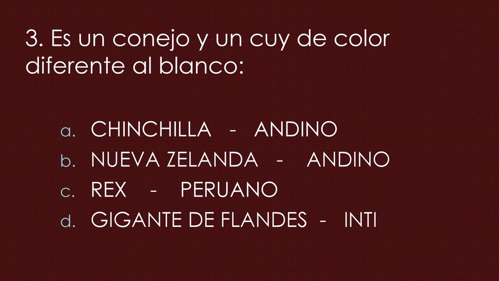 3. Es un conejo y un cuy de color diferente al blanco:
