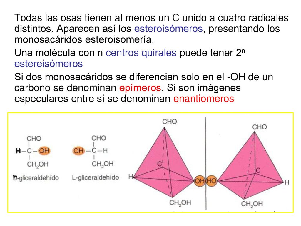 Todas las osas tienen al menos un C unido a cuatro radicales distintos