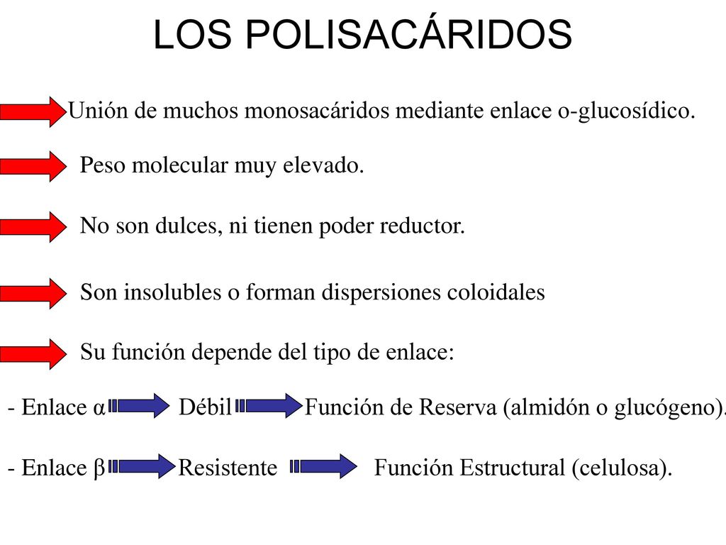 LOS POLISACÁRIDOS Unión de muchos monosacáridos mediante enlace o-glucosídico. Peso molecular muy elevado.